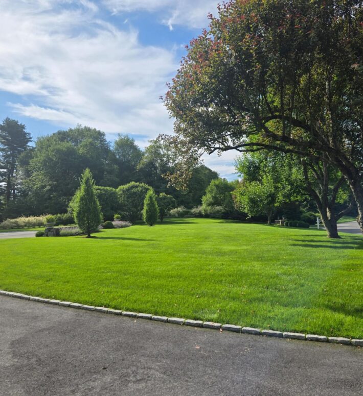 WhatsApp Image 2025-08-09 at 10.52.56 AM (2) WhatsApp Image 2025-08-09 at 10.52.56 AM (2)